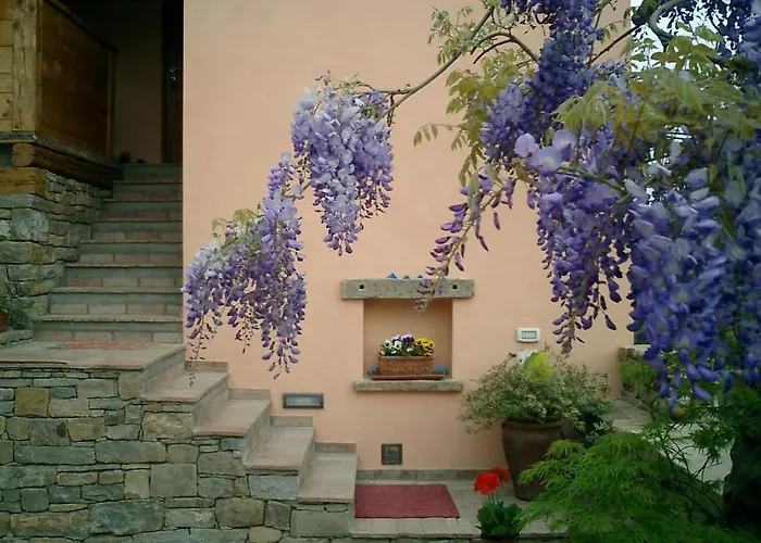 Il Glicine Bed & Breakfast San Dorligo della Valle photo