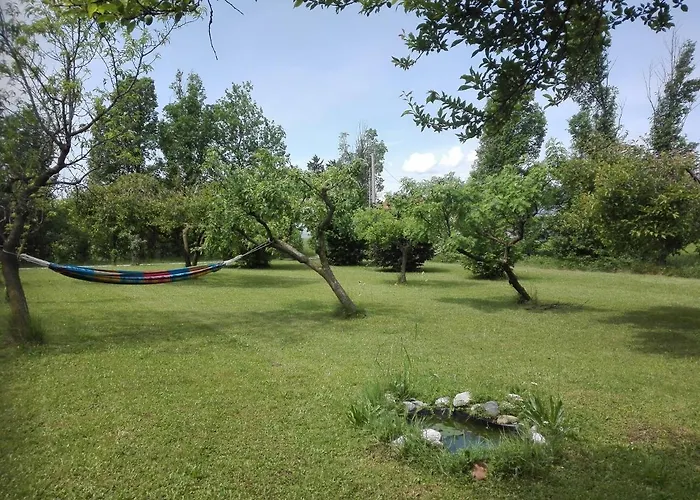 La Vie En Rose Bed & Breakfast Buia photo
