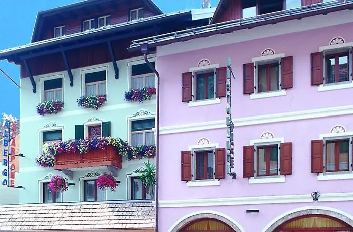 Albergo Scarpone Forni Avoltri photo
