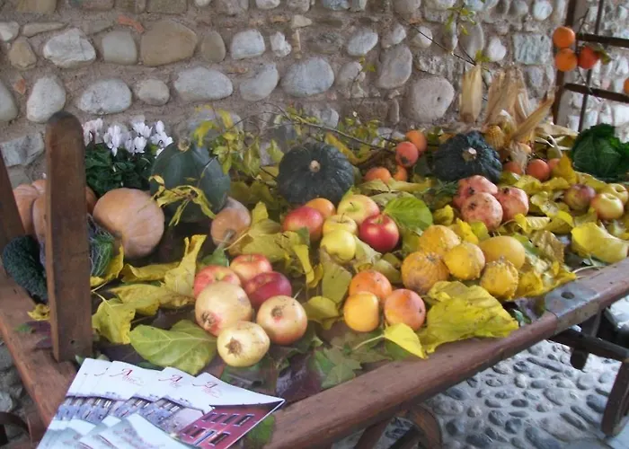 B&B Corte Alfier Mortegliano photo
