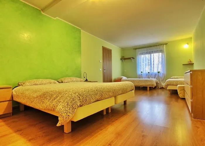 Cip & Ciop Bed & Breakfast Buia photo