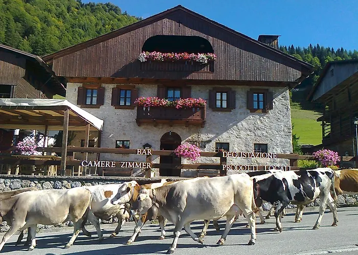 Albergo Pa' Krhaizar Sauris photo